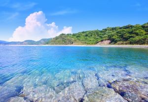 海