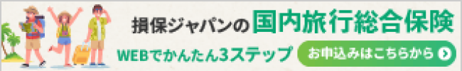 国内旅行保険